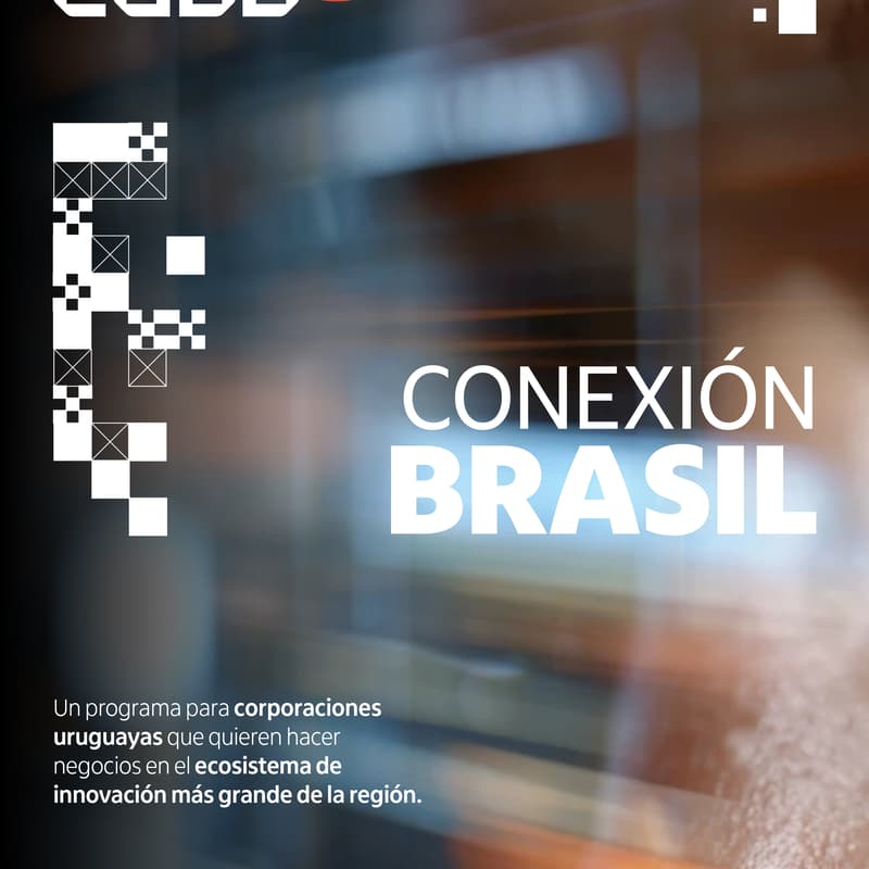 Cover Image for CONEXIÓN BRASIL