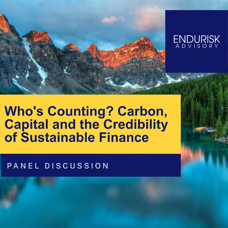 Cover Image for Who's Counting? Carbon, Capital and the Credibility of Sustainable Finance