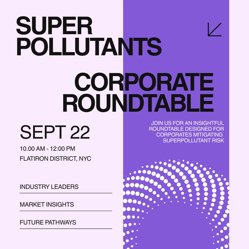 Cover Image for Superpollutants Corporate Roundtable at NYCW