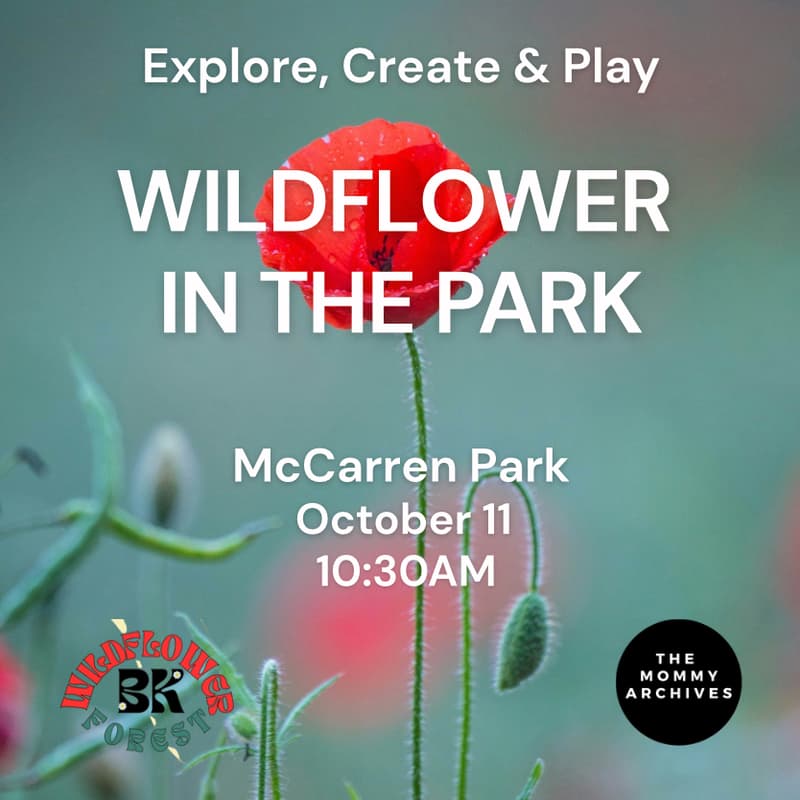 Cover Image for Wildflower in the Park