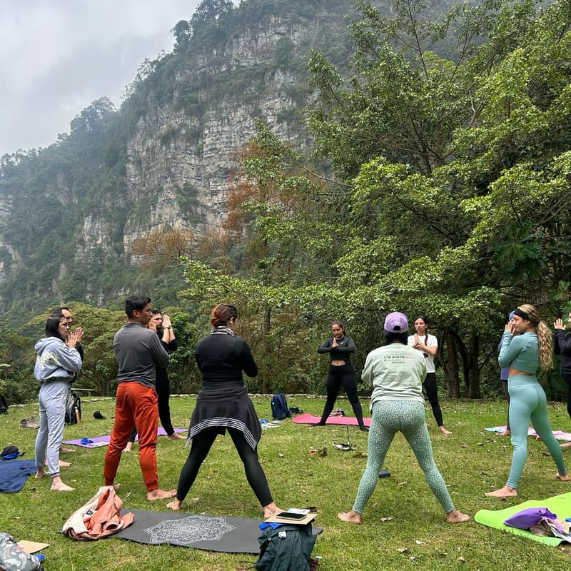 Cover Image for RAICES: Caminata consciente en el Bosque de Niebla