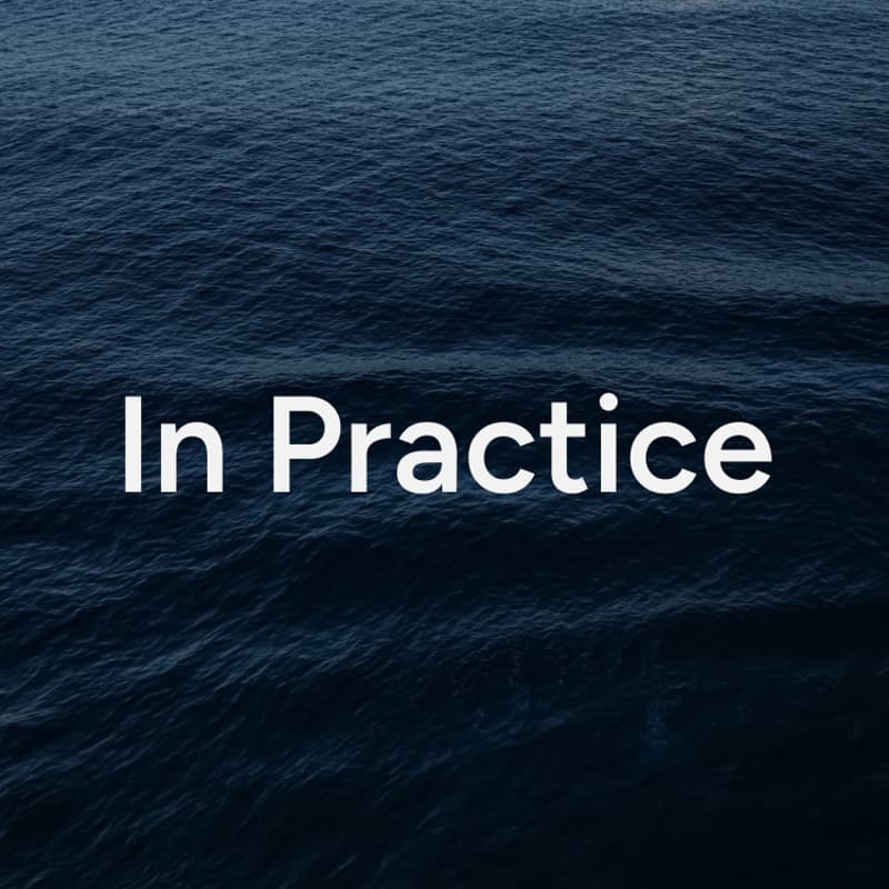 Cover Image for Software in Practice: Austin
