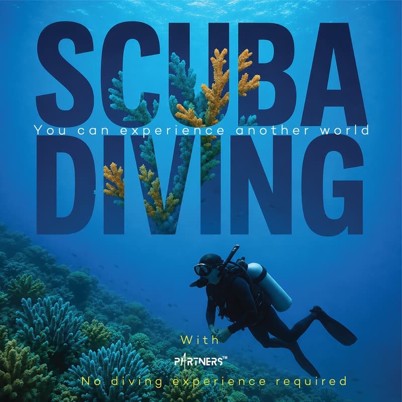Cover Image for Snoopy Island Dive Experience