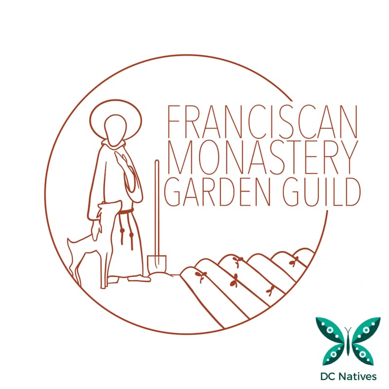 Cover Image for Franciscan Monastery Garden Guild Fall Festival