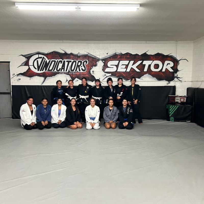 Cover Image for Vindicators Ladies Jiu Jitsu