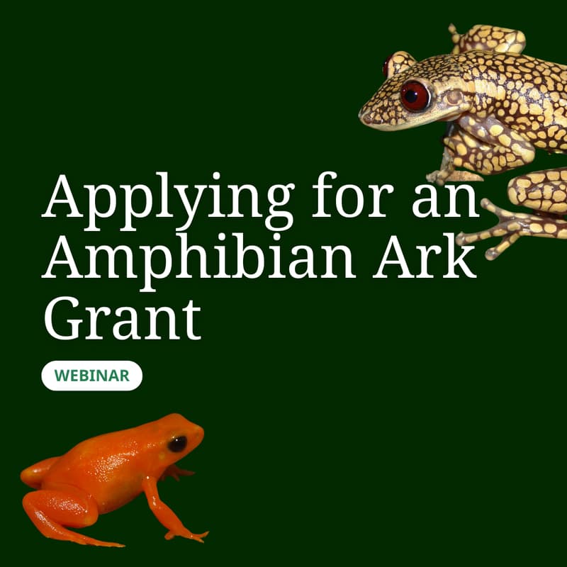 Cover Image for AArk Grants Webinar: Prepare strong applications