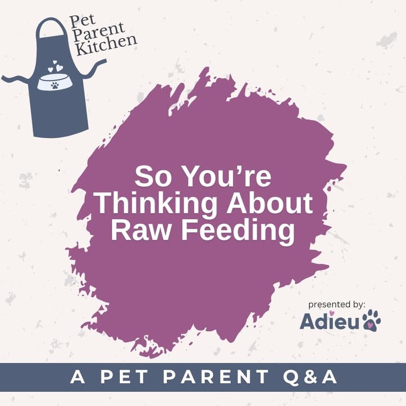 Cover Image for So You’re Thinking About Raw Feeding: A Pet Parent Q&A