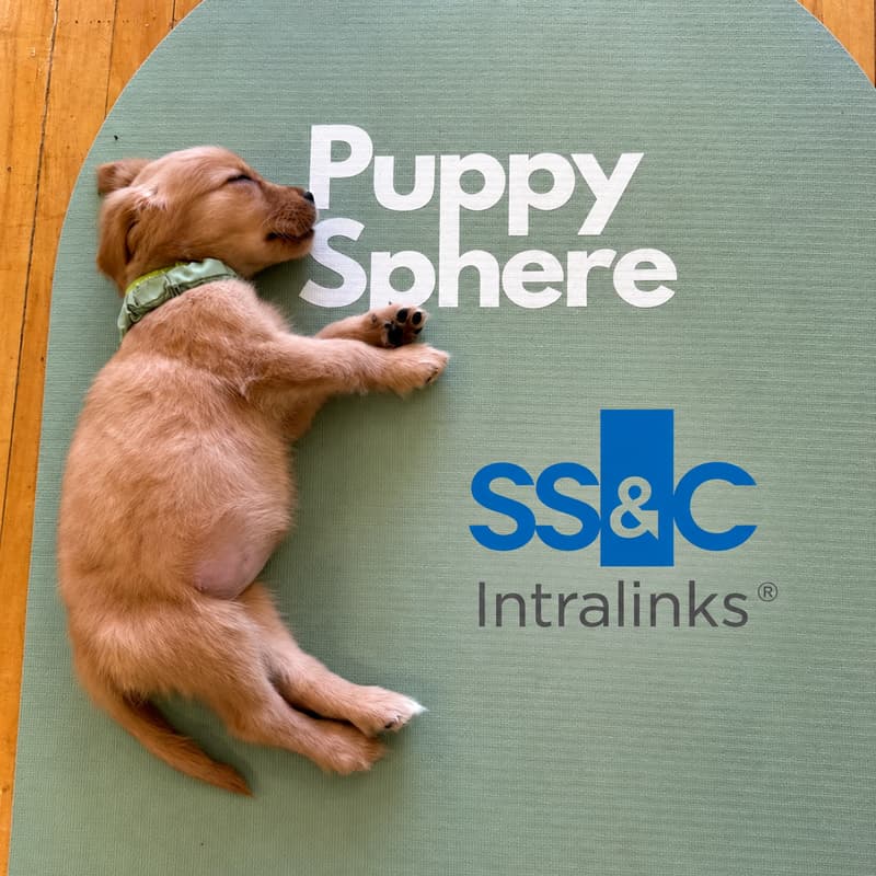 Cover Image for Puppies, Yoga & Bubbles with Intralinks!