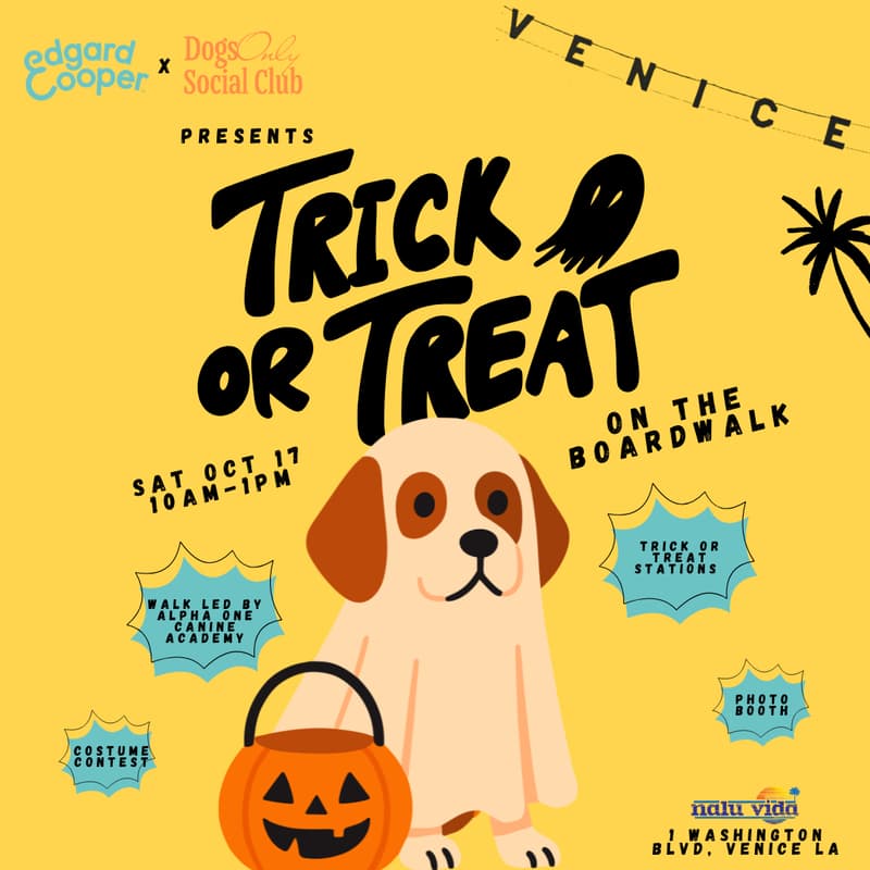 Cover Image for Trick or Treat on the Boardwalk ๐