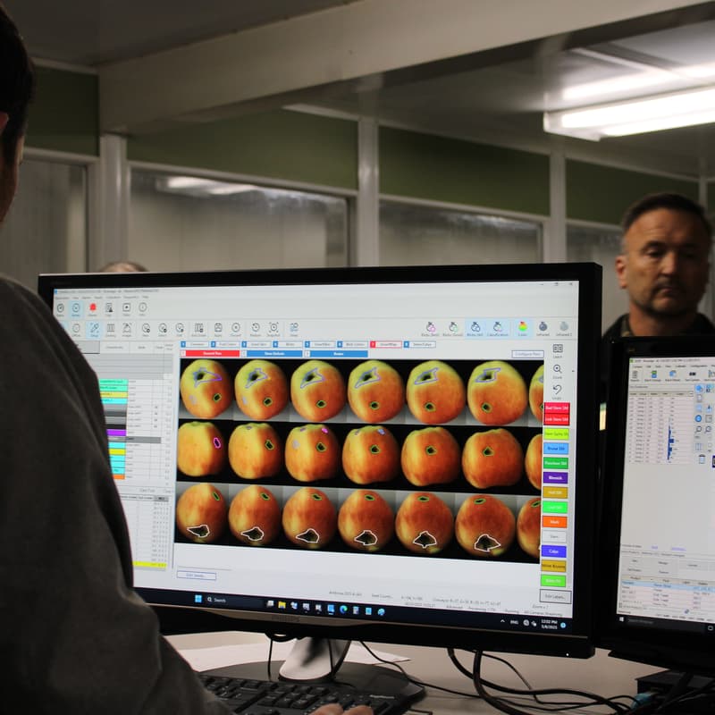 Cover Image for Tech + Ag in Action: Riveridge’s AI-Enabled Apple Packing Tool