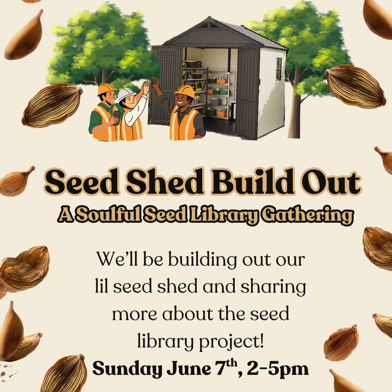Cover Image for Seed Library Shed Build + Intro