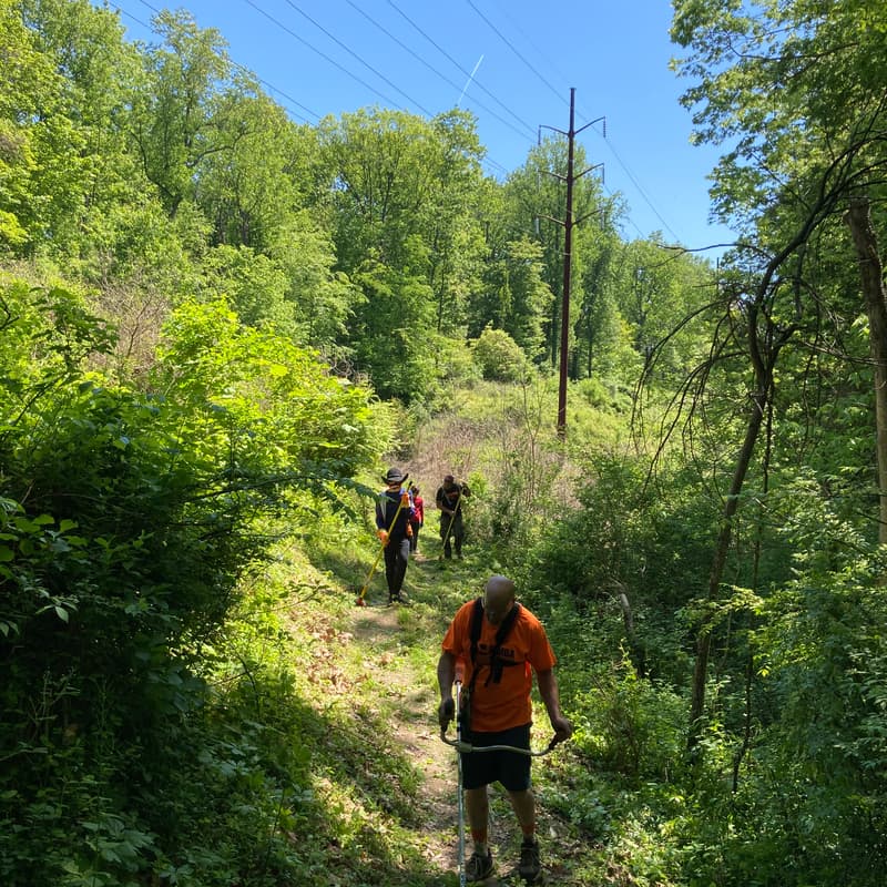 Cover Image for PARKWAY TRAIL TRIMMING