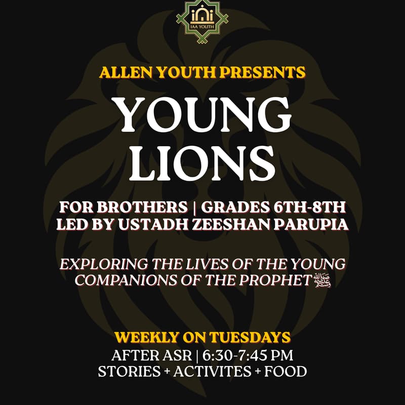 Cover Image for Young Lions