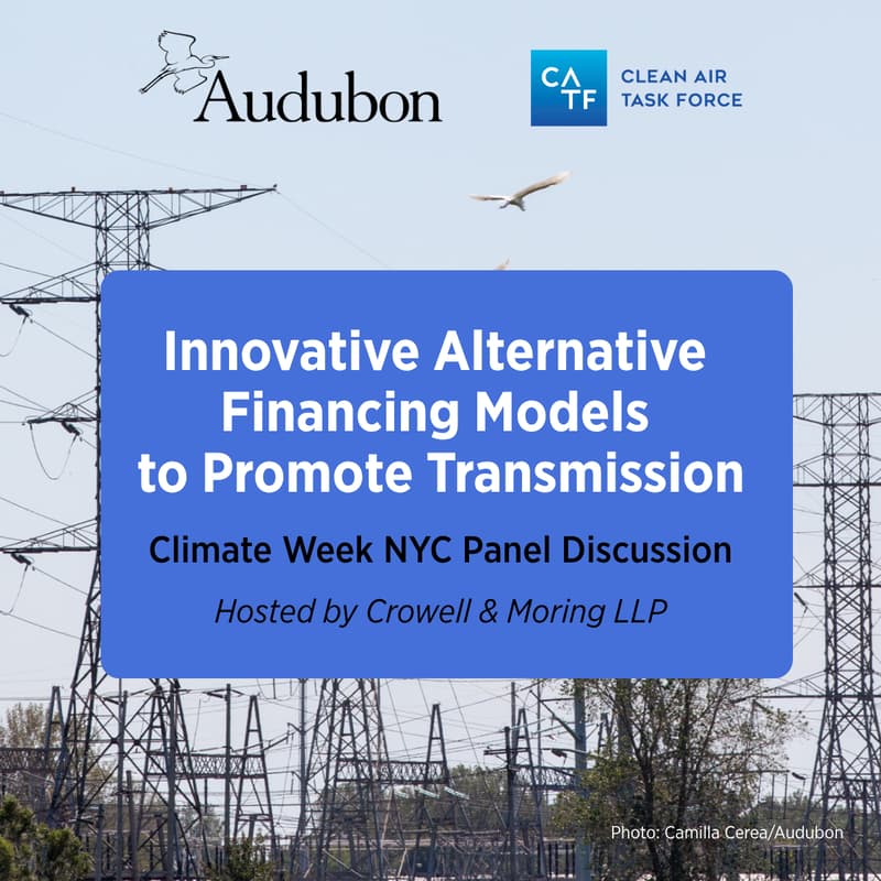Cover Image for Innovative Alternative Financing Models To Promote Transmission