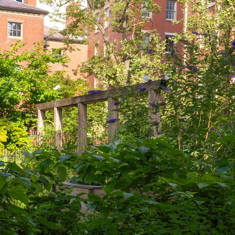 Cover Image for Pollinator Garden Visioning Workshop
