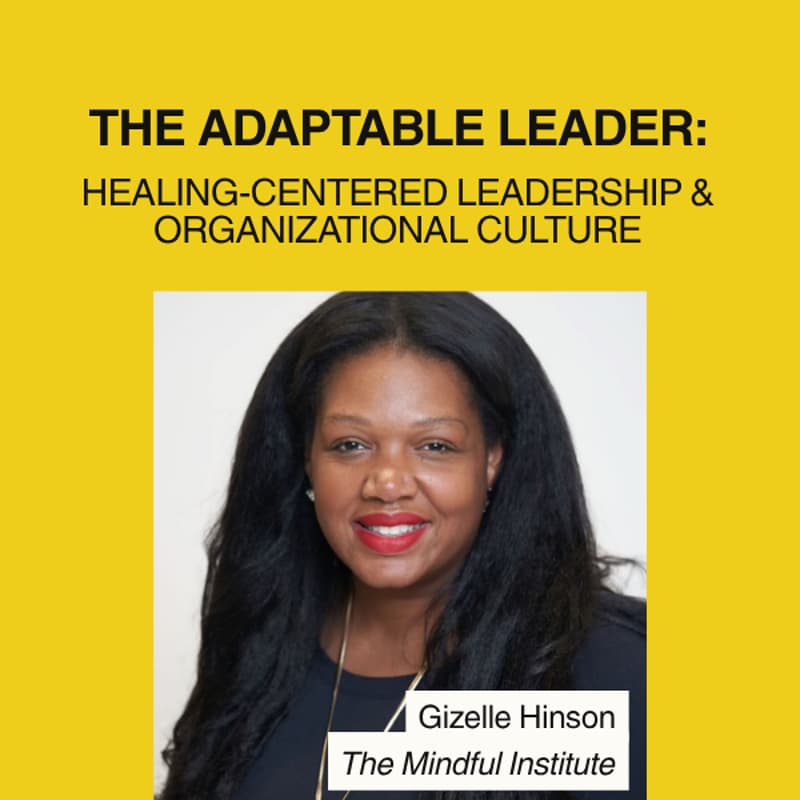 Cover Image for The Adaptable Leader: Healing-Centered Leadership & Organizational Culture
