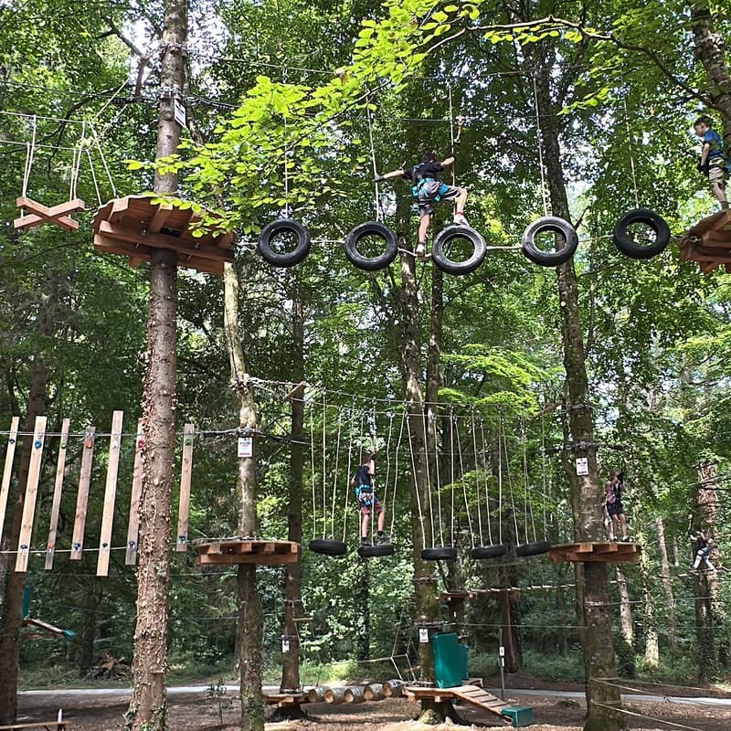 Cover Image for Ziplining, High Ropes & Nets Course