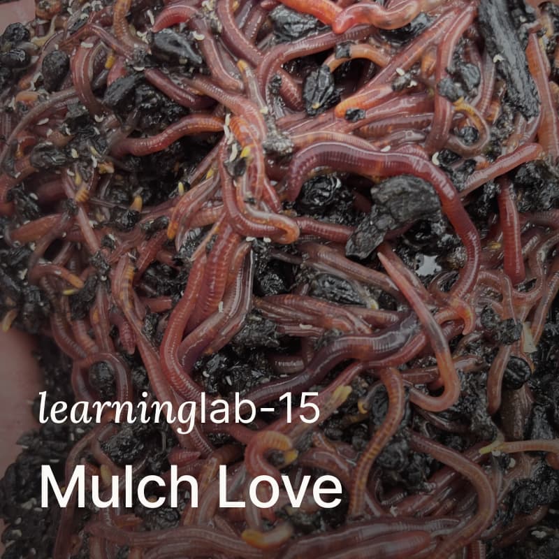 Cover Image for Learning Lab 15: Worms, Microbes and the Wild Wonders of Soil