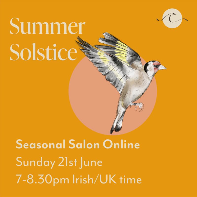 Cover Image for Summer Solstice Salon