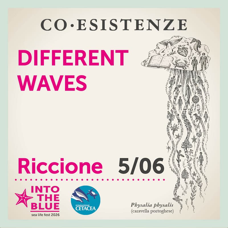 Cover Image for DIFFERENT WAVES performance