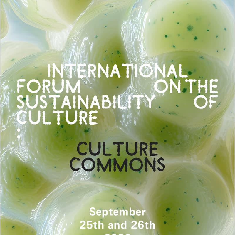 Cover Image for Culture Commons: institutions, networks, and other forms of cooperation | International Forum on the Sustainability of Culture