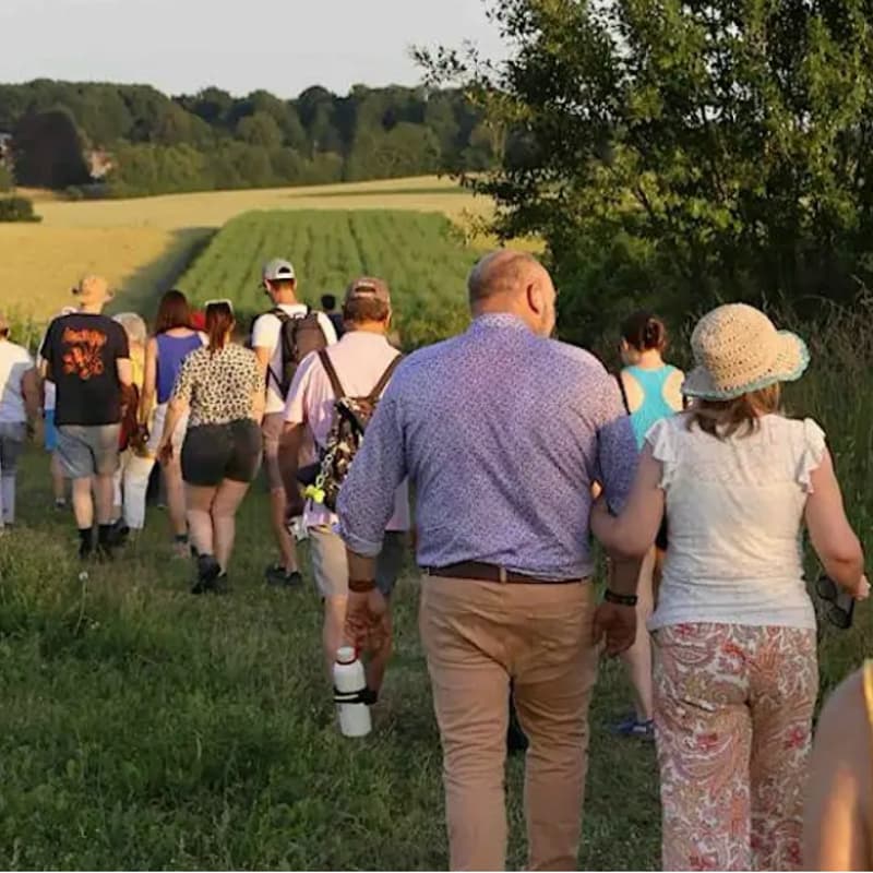 Cover Image for Deep time walk