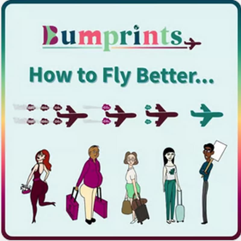 Cover Image for Confessions of a Pilot: How to fly Better in the Climate Crisis