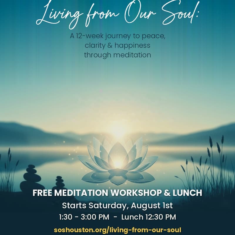 Cover Image for Living from Our Soul: a 12 Week Journey to Peace & Clarity thru Meditation