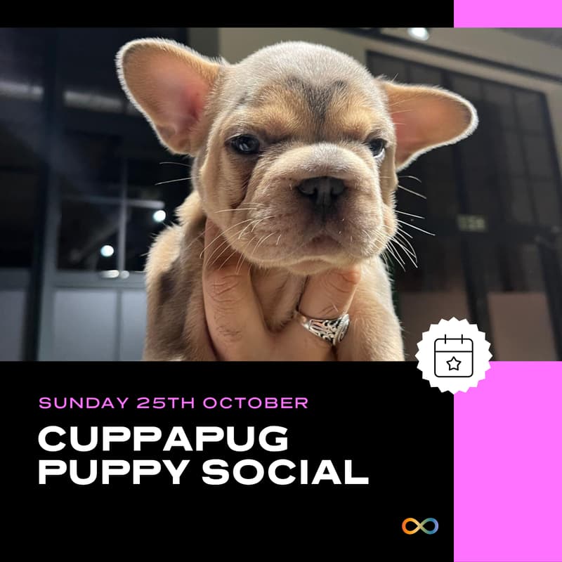 Cover Image for CuppaPug Puppy Social
