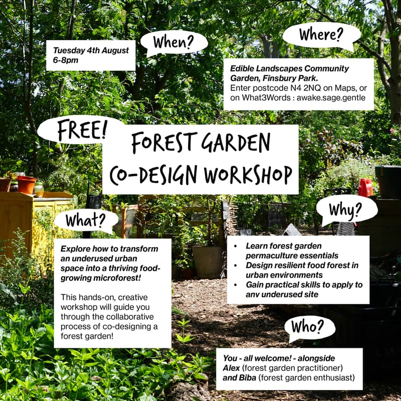 Cover Image for FOREST GARDEN CO-DESIGN WORKSHOP