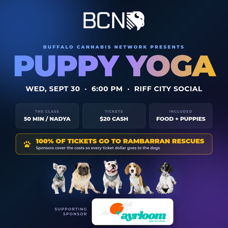 Cover Image for Puppy Yoga!