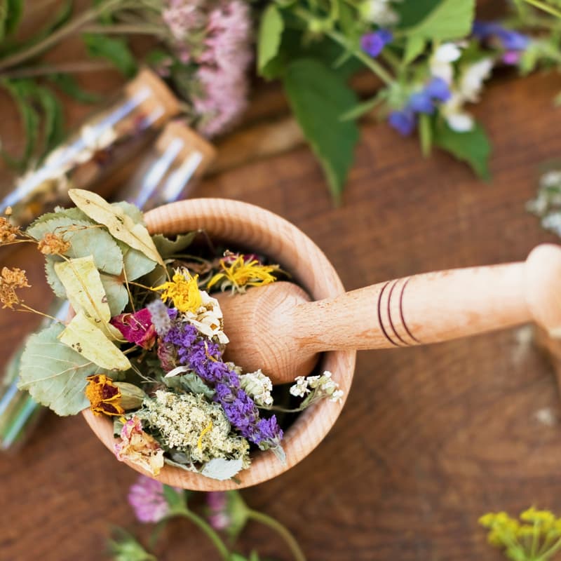 Cover Image for Taller de Hierbas y Plantas medicinales