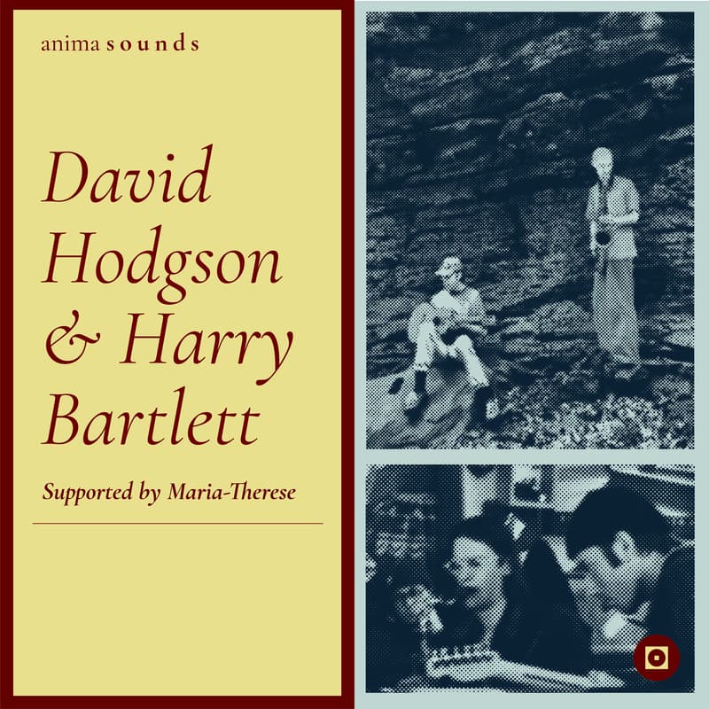Cover Image for David Hodgson and Harry Bartlett