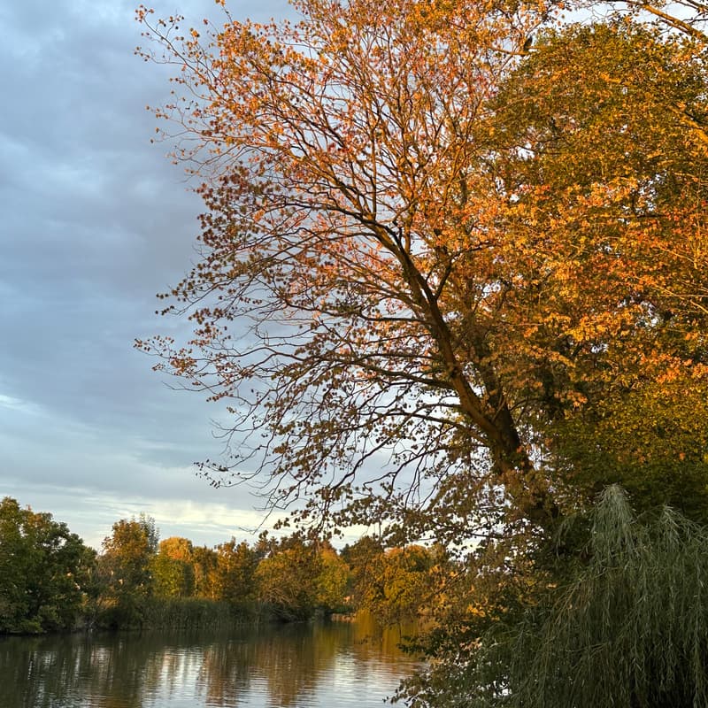 Cover Image for Herfstvergadering vzw Leie Omgeving Beschermen 14/10