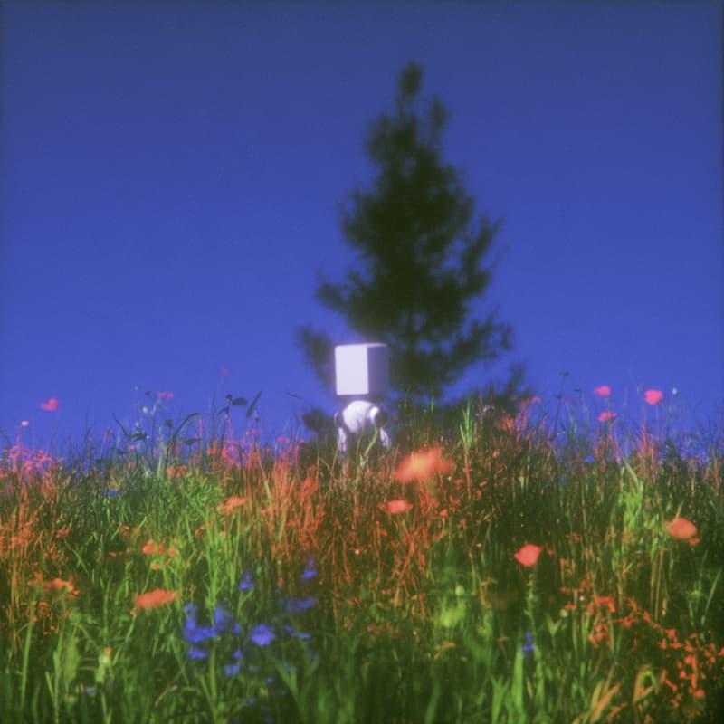 Cover Image for LeRobot Building Session