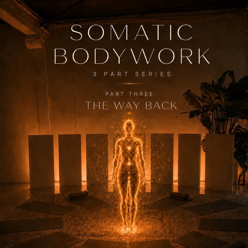 Cover Image for The Way Back: Part Three- Somatic Bodywork Series