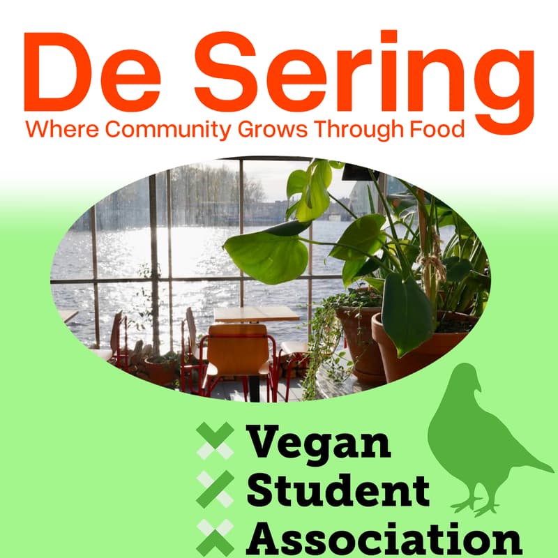 Cover Image for Community Dinner