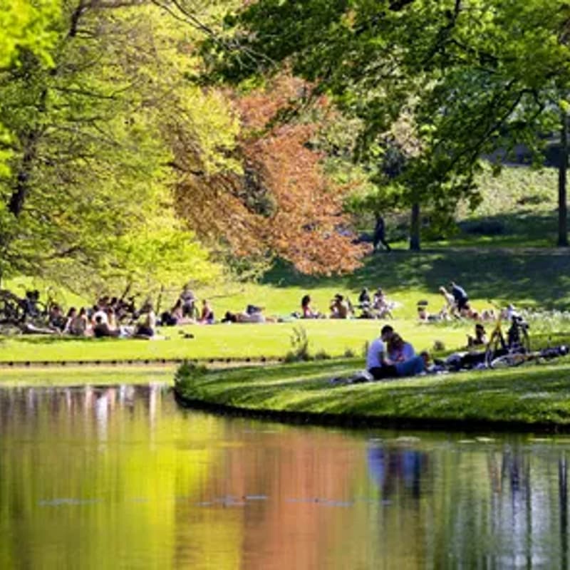 Cover Image for THE HAGUE UP CLOSE - Urban Climate in Practice