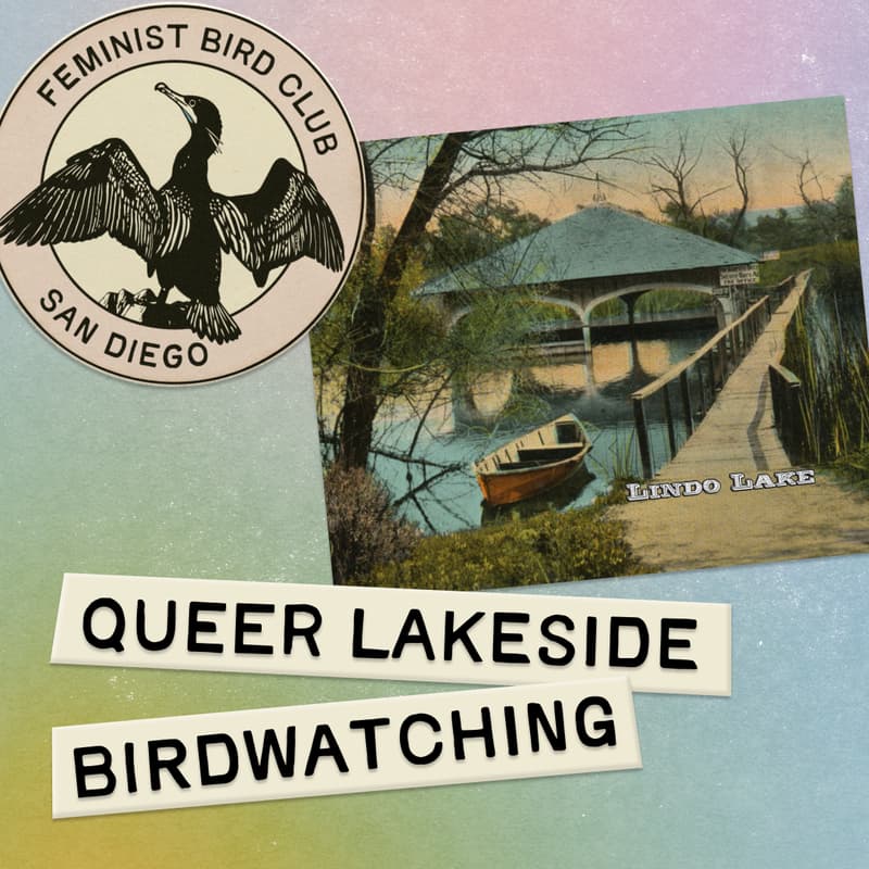 Cover Image for Queer Birding at Lindo Lake