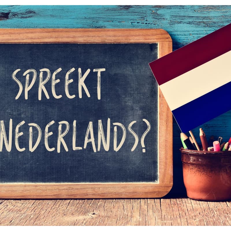 Cover Image for Dutch School Waiting List