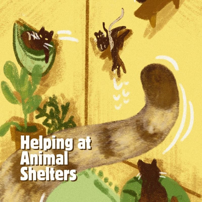 Cover Image for It's Time to Care (LTI ÜN x RK) – Volunteer opportunity