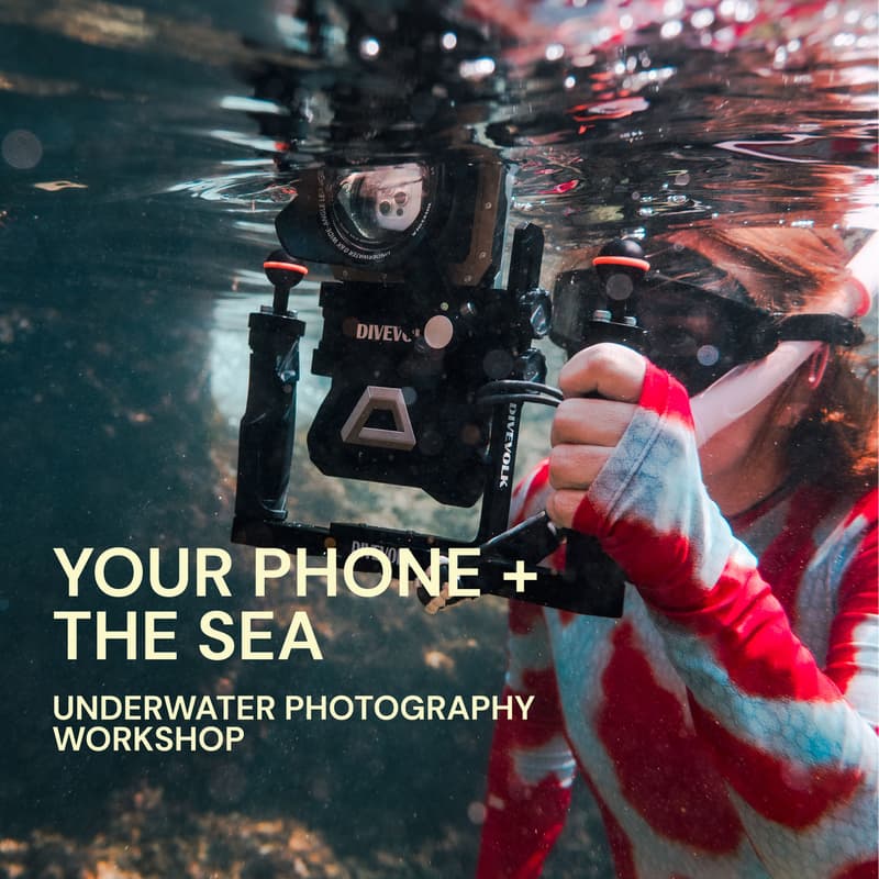 Cover Image for Smartphone Underwater photography workshop - With DIVEVOLK - Beginners