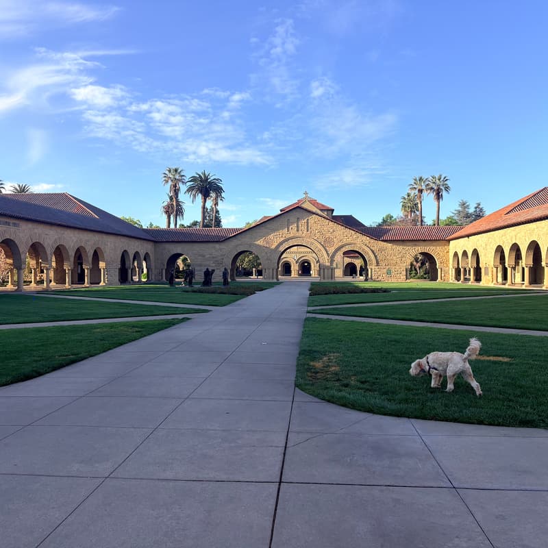 Cover Image for 3 mile walk + coffee at Stanford University