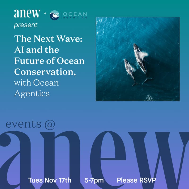 Cover Image for The Next Wave: AI and the Future of Ocean Conservation, with Ocean Agentics