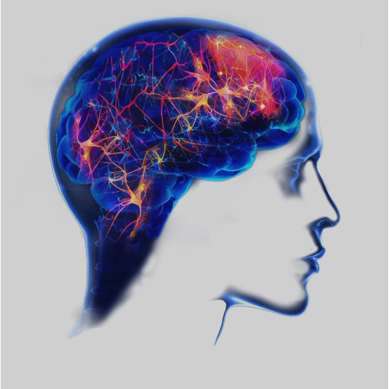 Cover Image for Longevity Salon #4: Developing neuroplasticity and cognitive flexibility for flow, purpose and quality of life