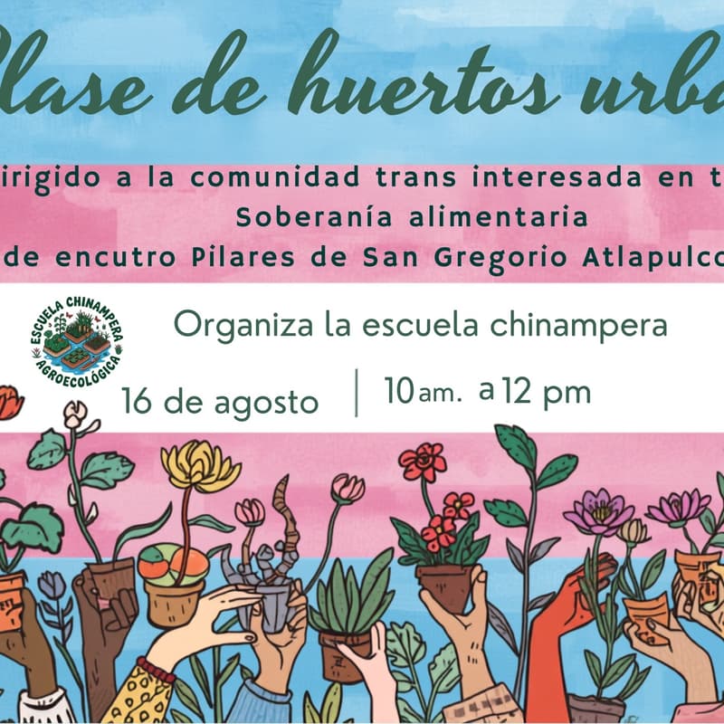 Cover Image for Huertos Urbanos Trans