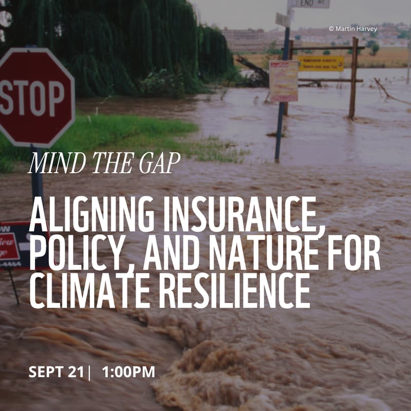 Cover Image for Mind the Gap: Aligning Insurance, Policy, and Nature for Climate Resilience