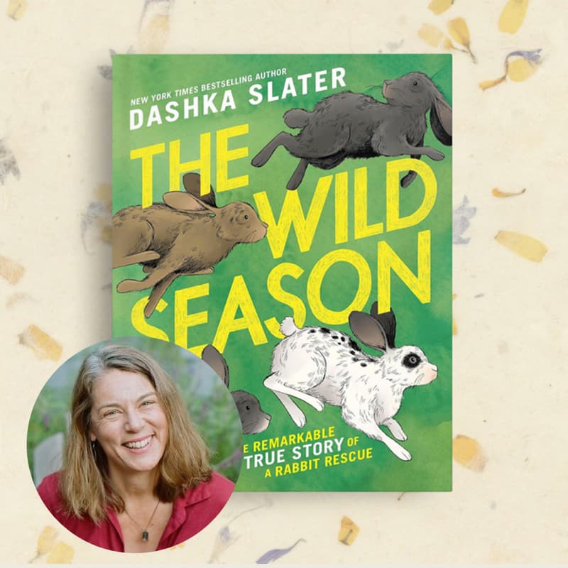 Cover Image for Dashka Slater presents The Wild Season: The Remarkable True Story of A Rabbit Rescue.