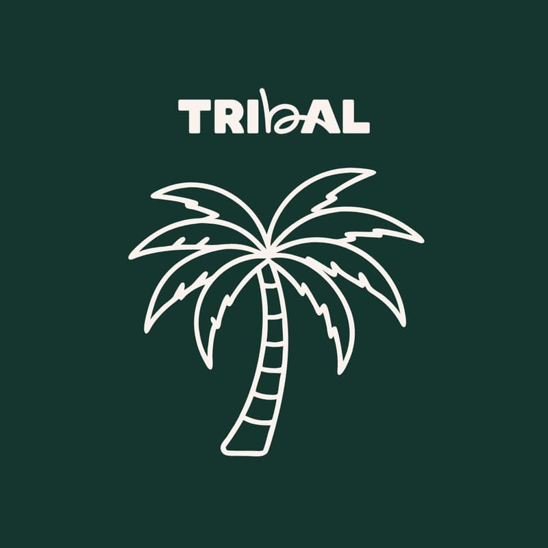 Cover Image for Tribal Connect: Speed Networking