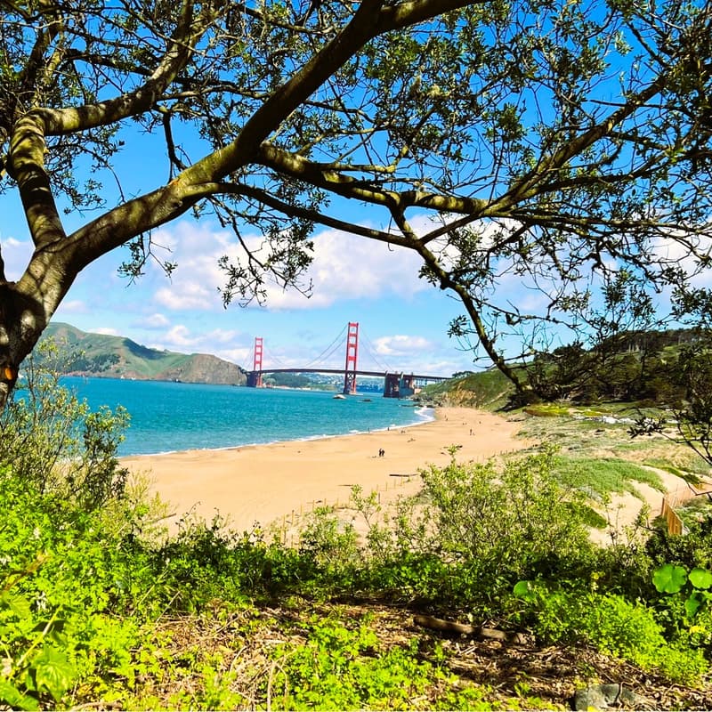 Cover Image for Three Beaches